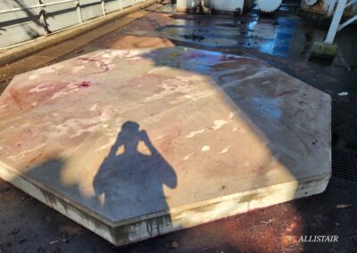 Jay Island Build Construction & Project Management